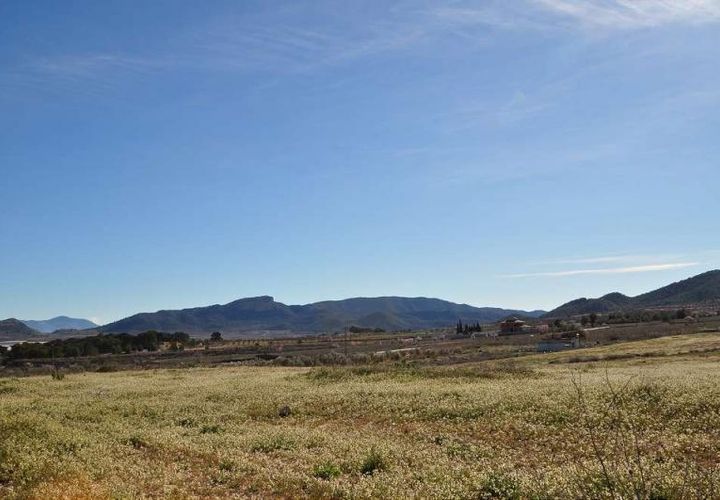 Terra a Chinorlet, Alicante, Chinorlet - € 46.000 | Ref: 9561 - foto 1