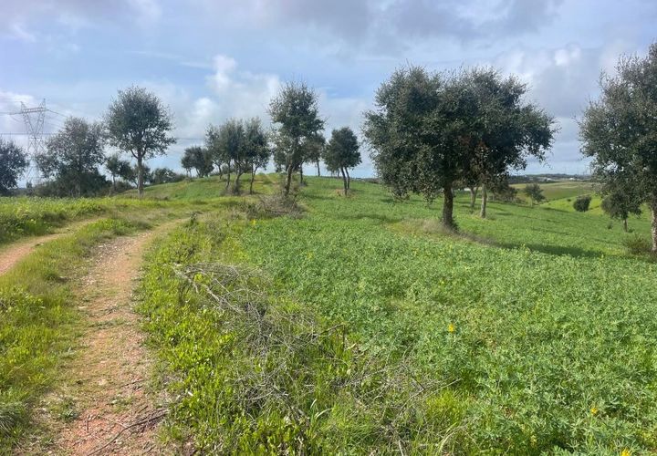 Helårsgrund i Sines, Setubal, Sines - € 150.000 | Ref: 2025018 - foto 1