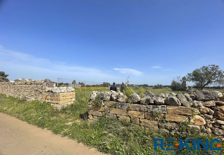 Terra a Galatone, Lecce, Galatone - € 10.000 | Ref: TA178 - foto 1