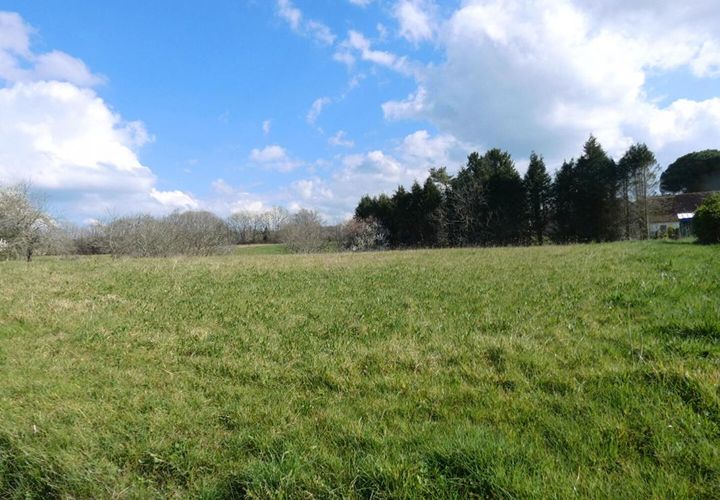 Terra a Hautefort, Dordogne, Hautefort - € 28.990 | Ref: 399091ALS - foto 1
