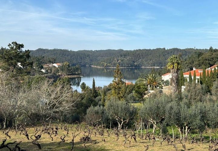 Helårsgrund i Tomar, Santarem, Tomar - € 95.000 | Ref: VCP437 - foto 1