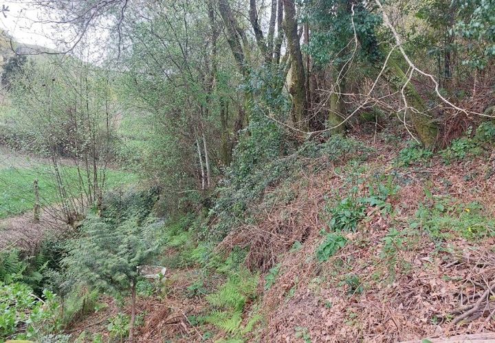 Helårsgrund i Amares, Braga, Amares - € 21.500 | Ref: 211929 - foto 1