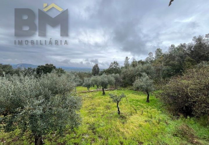 Helårsgrund i Castelo Branco, Castelo Branco, Castelo Branco - € 17.000 | Ref: 4844 - foto 1