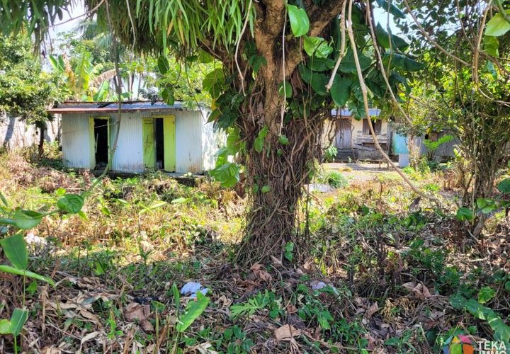 Terra a Saint-Benoit, La Reunion, Saint-Benoit - € 255.000 | Ref: 6339YD - foto 1