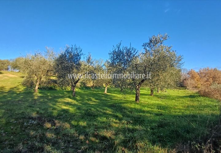 Helårsgrund i Sarteano, Siena, Sarteano - € 29.000 | Ref: TA28 - foto 1