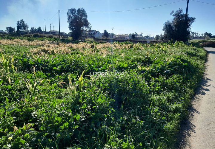 Helårsgrund i Aveiro, Aveiro, Aveiro - € 99.500 | Ref: VEN-3985 - foto 1