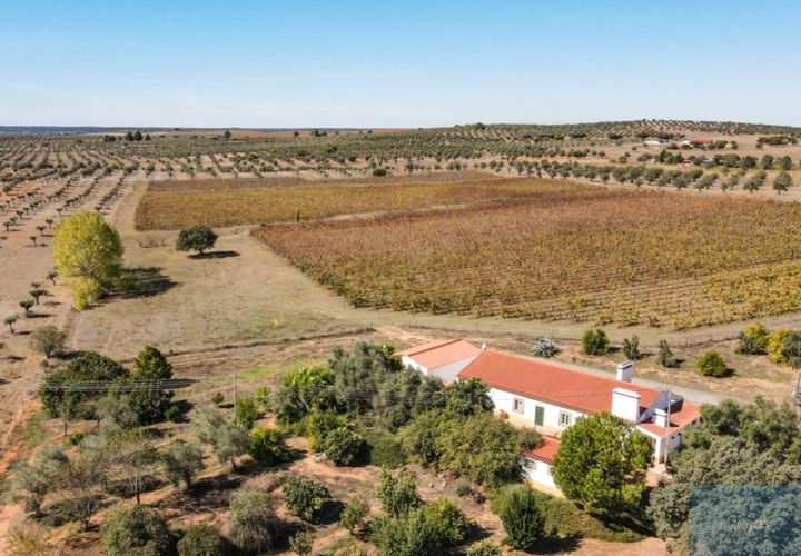 Granja a Avis, Portalegre, Avis - € 510.000 | Ref: QUIJPD001 - foto 1