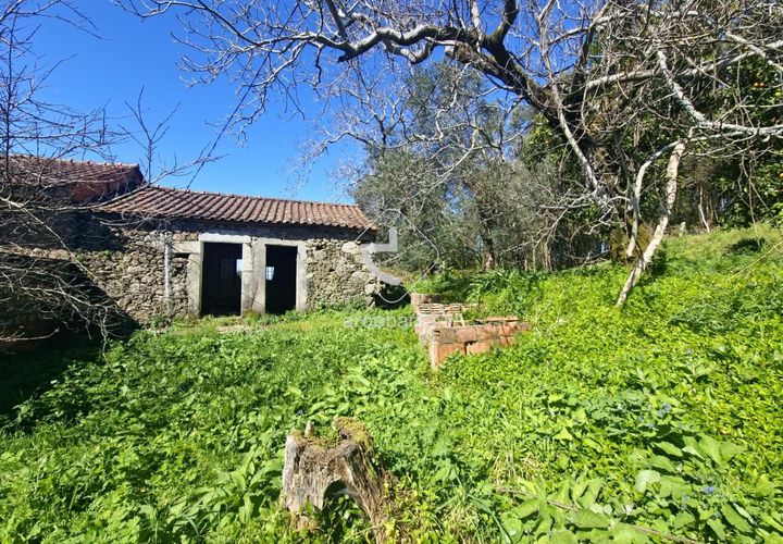 Farm i Ponte de Lima, Viana do Castelo, Ponte de Lima - € 140.000 | Ref: AV6277 - foto 1