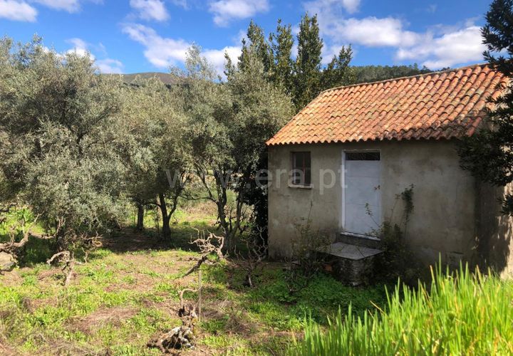 Helårsgrund i Covilha, Castelo Branco, Covilha - € 28.000 | Ref: 111250056 - foto 1