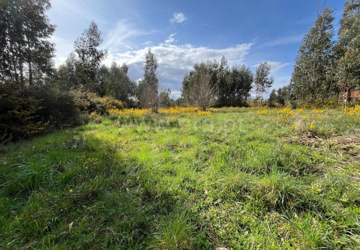 Terra a Seia, Guarda, Seia - € 32.500 | Ref: 382250025 - foto 1