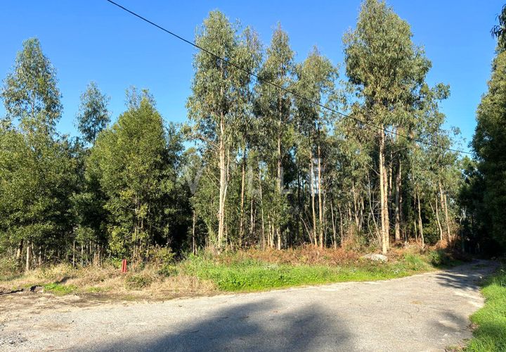 Helårsgrund i Espinho, Aveiro, Espinho - € 48.000 | Ref: AV2477 - foto 1
