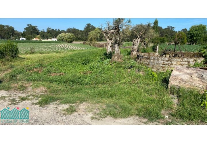 Helårsgrund i Murtosa, Aveiro, Murtosa - € 55.000 | Ref: TER_1985 - foto 1