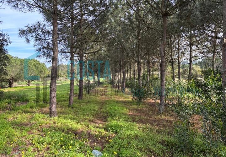 Tomt i Rogil, Faro, Rogil - € 80 000 | Ref: CP-T2506 - foto 1