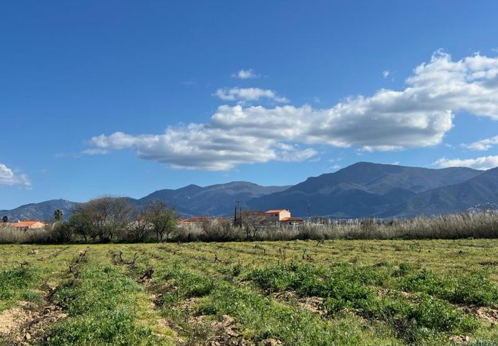 Terra a Brouilla, Pyrenees-Orientales, Brouilla - € 80.900 | Ref: 66-BROUILLA-CLO - foto 1