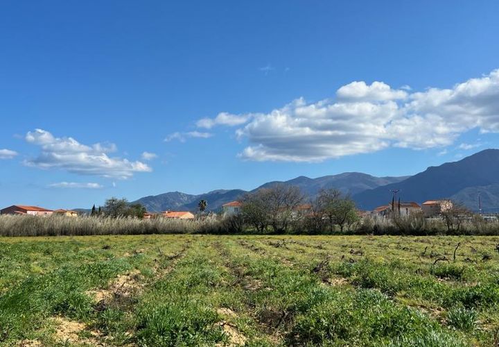 Terra a Brouilla, Pyrenees-Orientales, Brouilla - € 93.500 | Ref: 12 - foto 1