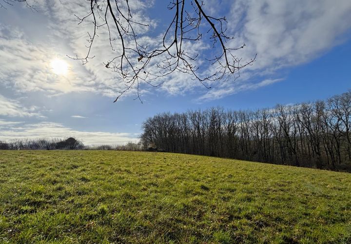 Terra a Tarbes, Hautes-Pyrenees, Tarbes - € 45.000 | Ref: 7336937 - foto 1