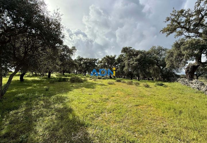 Helårsgrund i Escalos de Cima e Lousa, Castelo Branco, Escalos de Cima e Lousa - € 100.000 | Ref: 124073 - foto 1