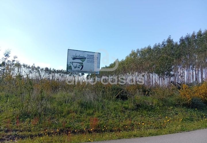 Helårsgrund i Agueda, Aveiro, Agueda - € 55.000 | Ref: PP28032025 - foto 1
