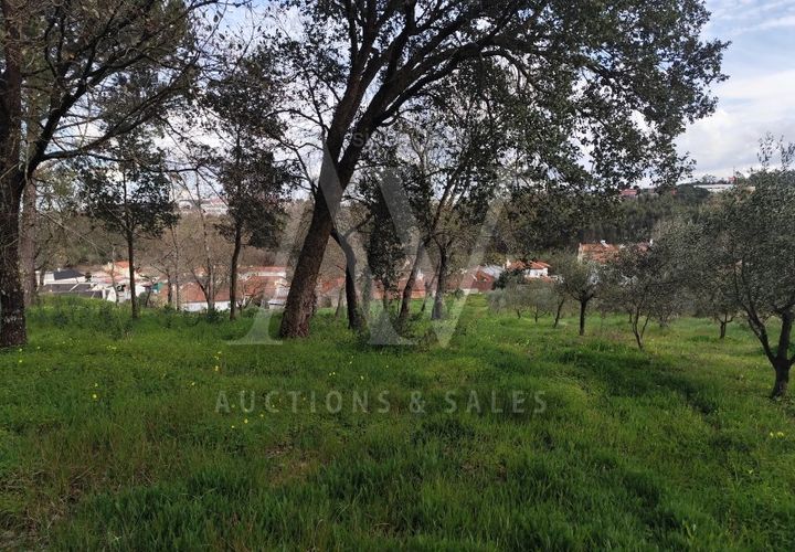 Helårsgrund i Parceiros e Azoia, Leiria, Parceiros e Azoia - € 150.000 | Ref: LRA_2196 - foto 1