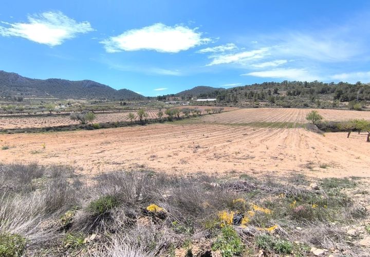 Terra a La Zarza, Murcia, La Zarza - € 62.500 | Ref: 70030 - foto 1