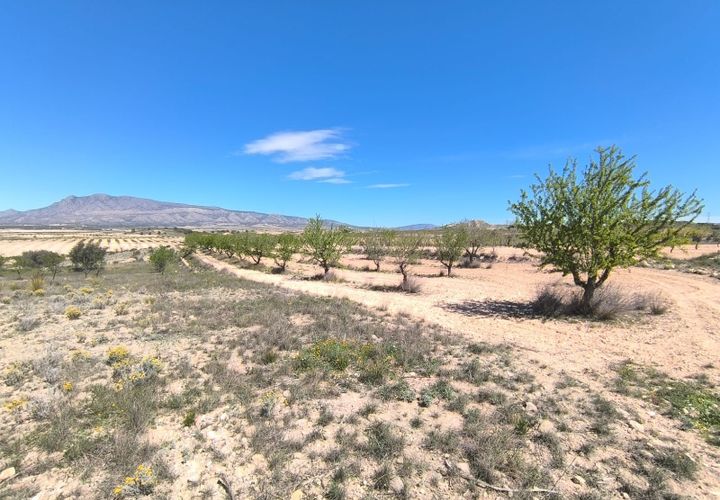 Tomt i Jumilla, Murcia, Jumilla - € 13 900 | Ref: 70028 - foto 1