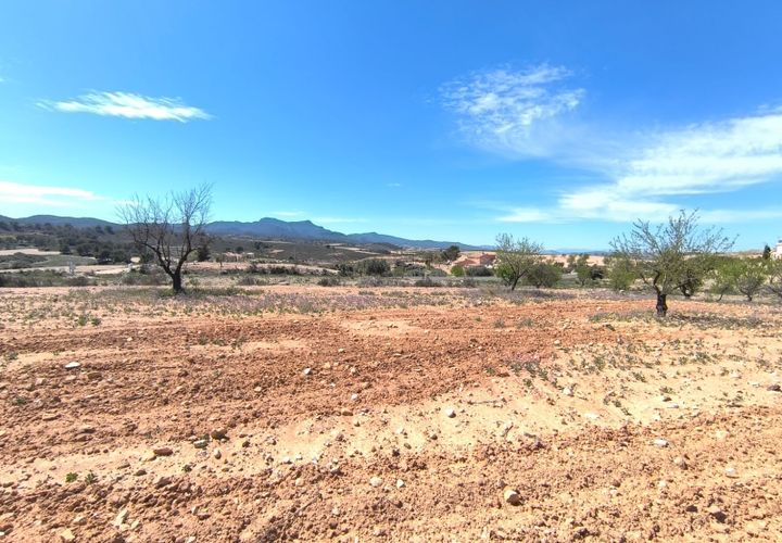 Tomt i Jumilla, Murcia, Jumilla - € 13 800 | Ref: 70027 - foto 1