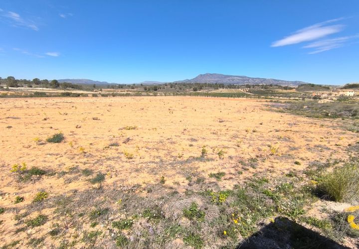 Terra a La Zarza, Murcia, La Zarza - € 43.500 | Ref: 70029 - foto 1
