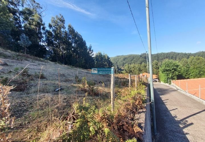Helårsgrund i Camacha, Madeira, Camacha - € 120.000 | Ref: 1664 - foto 1