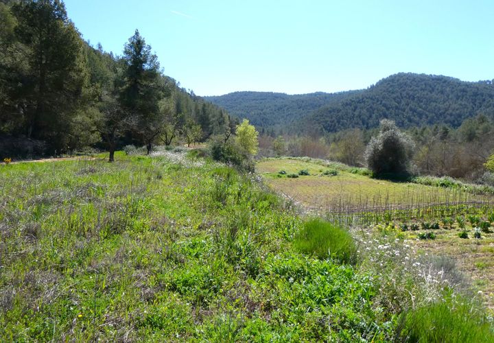 Finca em Caseres, Tarragona, Caseres - € 9.000 | Ref: 1001 - foto 1