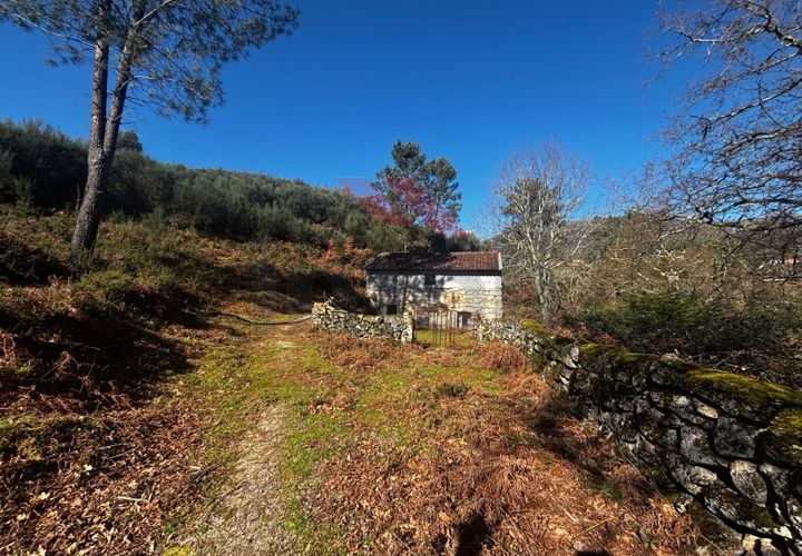 Helårsgrund i Arcos de Valdevez, Viana do Castelo, Arcos de Valdevez - € 55.000 | Ref: AVV-2402-AA-0325 - foto 1