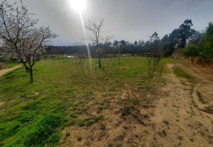 Helårsgrund i Cavernaes, Viseu, Cavernaes - € 150.000 | Ref: 0089 - foto 1