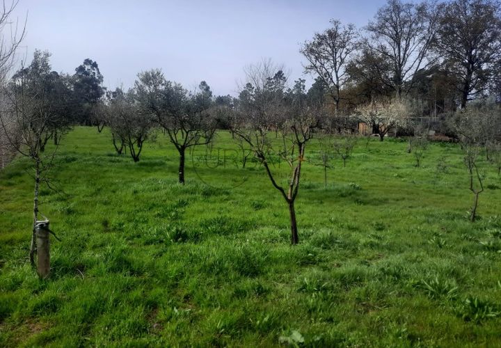 Grond in Cavernaes, Viseu, Cavernaes - € 200.000 | Ref: 0090 - foto 1