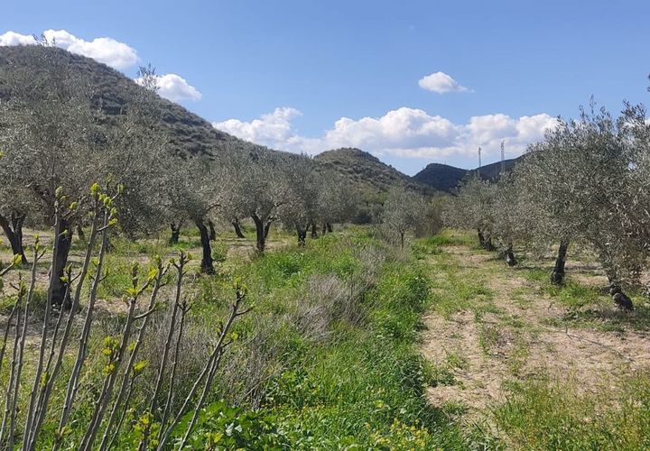 Helårsgrund i Sorbas, Almeria, Sorbas - € 29.900 | Ref: 3243-05255 - foto 1