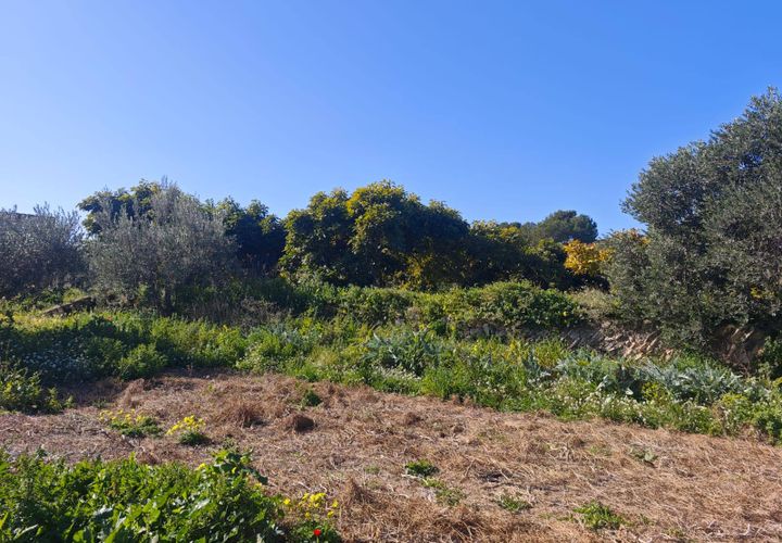 Tomt i Teulada, Alicante, Teulada - € 750 000 | Ref: P193 - foto 1