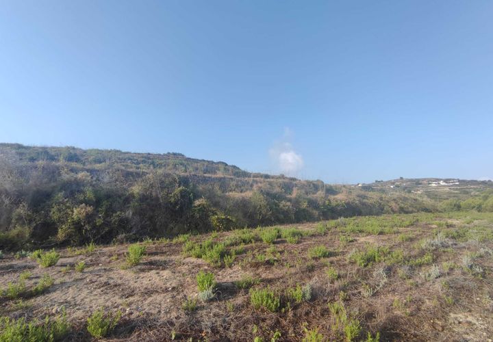 Tomt i Teulada, Alicante, Teulada - € 379 000 | Ref: P185 - foto 1
