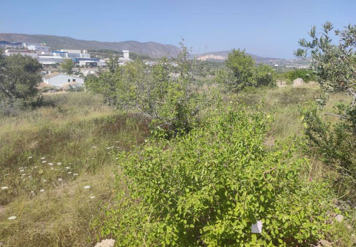 Helårsgrund i Benissa, Alicante, Benissa - € 138.900 | Ref: P117 - foto 1