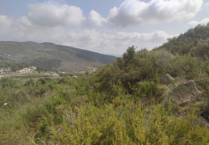 Tomt i Teulada, Alicante, Teulada - € 369 000 | Ref: P120 - foto 1