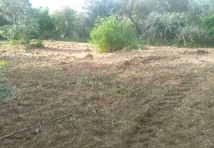 Helårsgrund i Ourem, Santarem, Ourem - € 32.000 | Ref: SF-SAFTI:005376 - foto 1