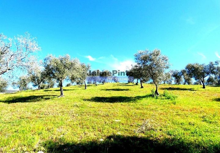 Terra a Vila Flor, Braganca, Vila Flor - € 300.000 | Ref: 9765_Q - foto 1