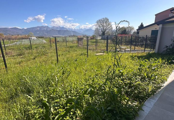 Byhus i Ameglia, La Spezia, Ameglia - € 257.000 | Ref: 2942 - foto 1