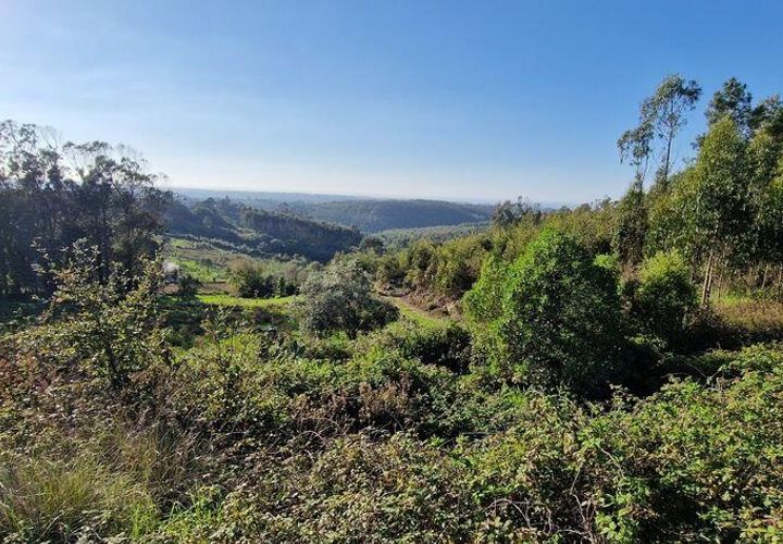 Helårsgrund i Mafra, Lisbon, Mafra - € 498.000 | Ref: 129315 - foto 1