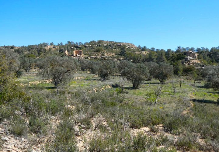 Finca i Fabara, Zaragoza, Fabara - € 9.500 | Ref: 1053 - foto 1