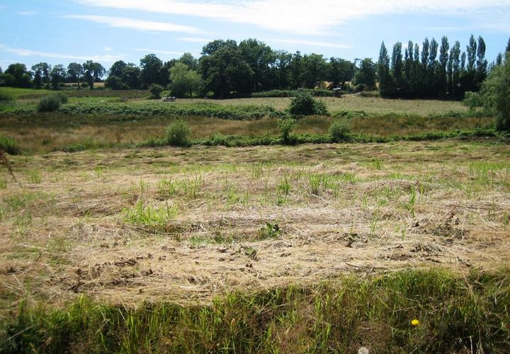Terra a Ploerdut, Morbihan, Ploerdut - € 24.518 | Ref: 56075-1980 - foto 1