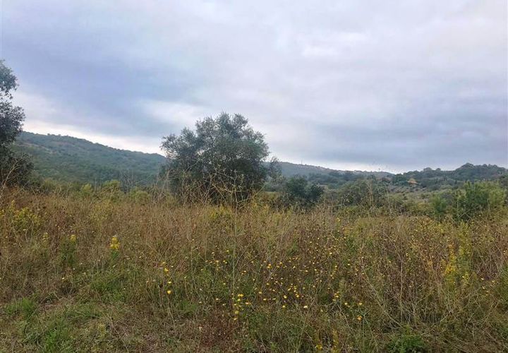Farm i Scansano, Grosseto, Scansano - € 250.000 | Ref: AZ138 - foto 1