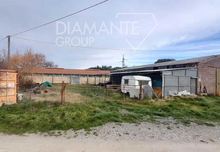 Farm i Pomarance, Pisa, Pomarance - € 320.000 | Ref: AZ361 - foto 1