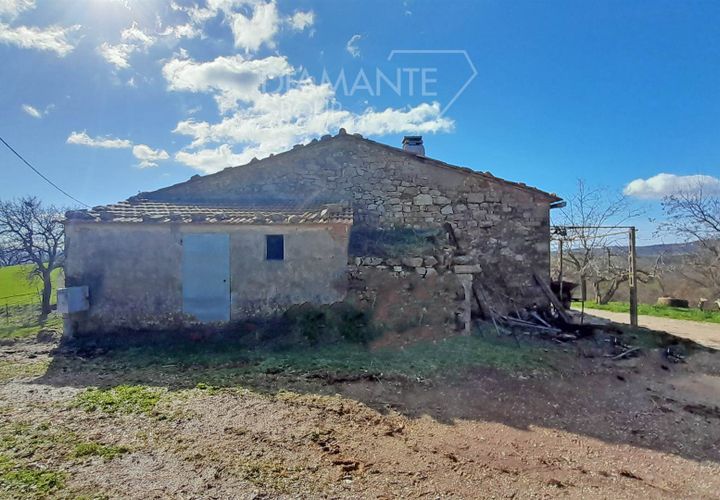Farm i Scansano, Grosseto, Scansano - € 350.000 | Ref: AZ297 - foto 1