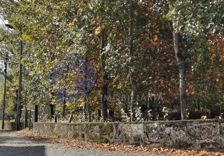 Farm i Penafiel, Porto, Penafiel - € 300.000 | Ref: 1101781 - foto 1