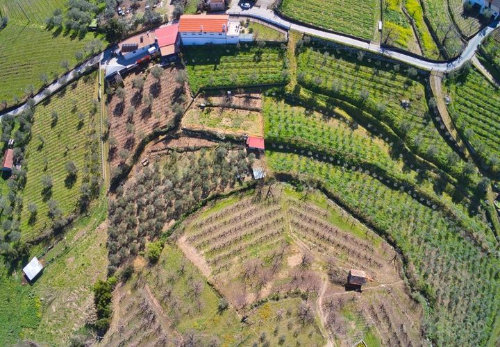 Farm i Cepoes, Viseu, Cepoes - € 595.000 | Ref: LMG_3973 - N - foto 1