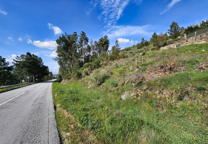 Tomt i Tarouca, Viseu, Tarouca - € 30 000 | Ref: LMG_3927 - N - foto 1