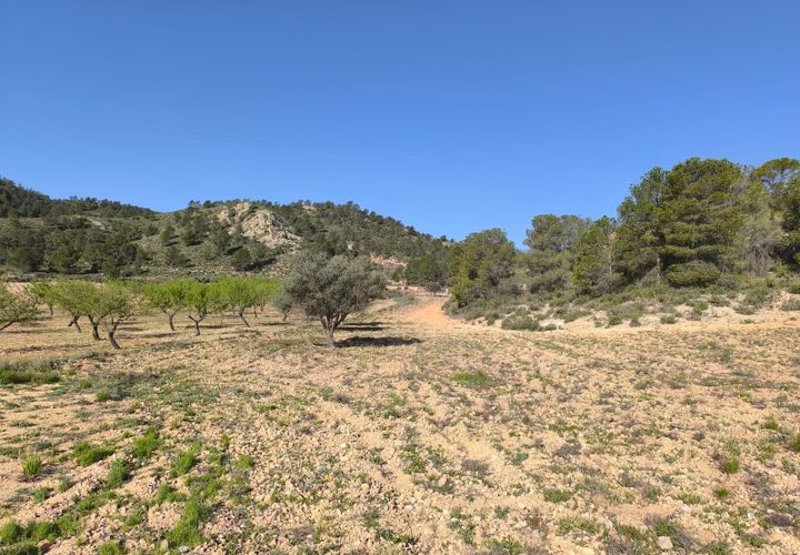 Helårsgrund i Yecla, Murcia, Yecla - € 52.500 | Ref: 70020 - foto 1